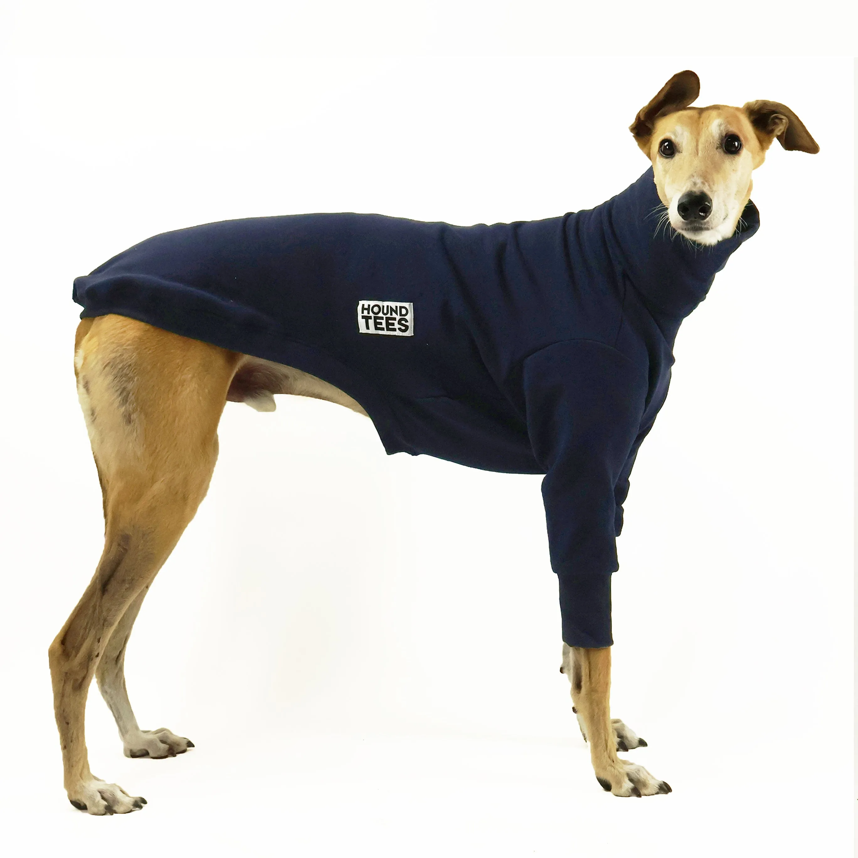 Breakfast Blues Greyhound Sweater